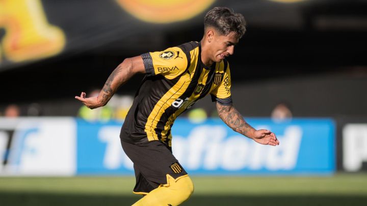 mdepasesuru's tweet photo. Rumbo a Italia.

Facundo Torres se iría de Peñarol en Agosto, rumbo al Inter de Milán.

La oferta ronda en 15M€. https://t.co/mjFVeSrqN5