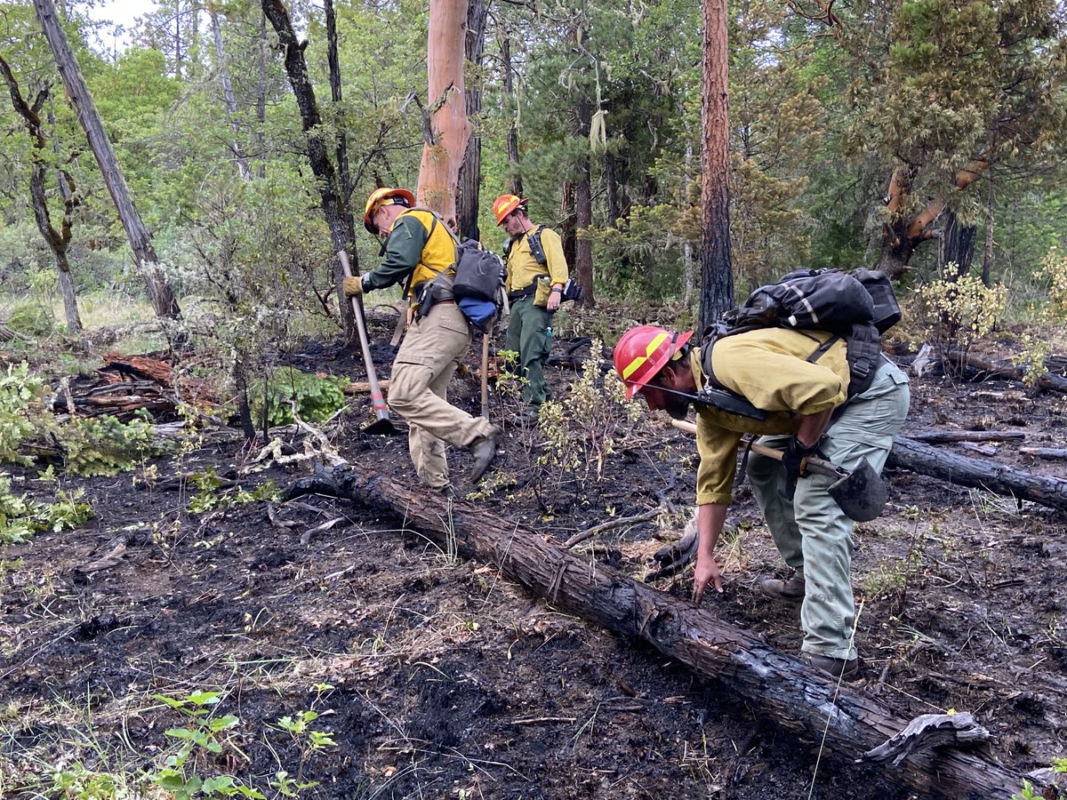 swofire's tweet photo. 𝙎𝘼𝙒𝙔𝙀𝙍 𝙁𝙄𝙍𝙀 𝙁𝙄𝙍𝙎𝙏 &amp; 𝙁𝙄𝙉𝘼𝙇 𝙐𝙋𝘿𝘼𝙏𝙀: The first fire caused by a lightning strike from the thunderstorm that swept through the Rogue Valley on Wednesday is now 100% contained. #fireseason2021 #swofire
More info on the Sawyer Fire --> https://t.co/uZtJ1rzPEs https://t.co/So6R3q8Pvs