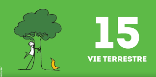 EDD_Lorraine's tweet image. En pratiquant une tonte raisonnée, le collège Nicolas Untersteller favorise la #biodiversité 

#ODD15 @Agenda2030FR