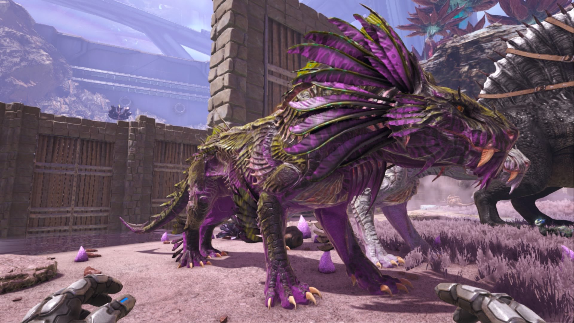 あくえり Ark 突然変異は父系も母系も0 だけど絶対色変わってるやろ 両親これやぞ Ark Genesis2 シャドウメイン T Co Gz8knwxk96 Twitter