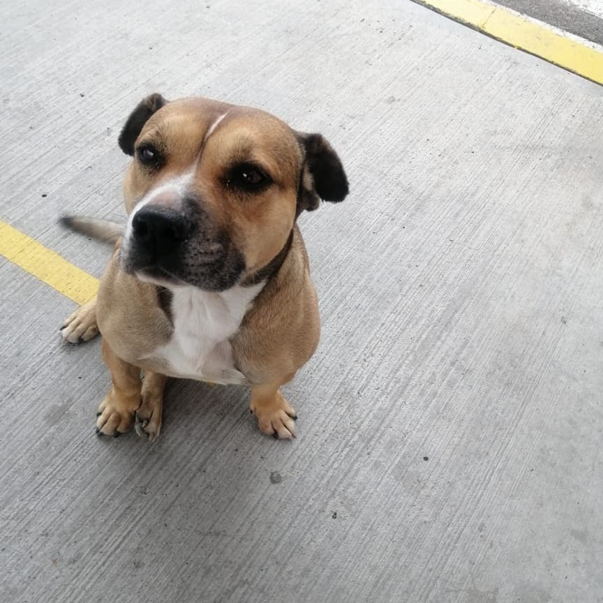 ♥️ Te interesa hacer feliz a esta muñeca? Adoptala. 😍 comunicate al 313 2346386