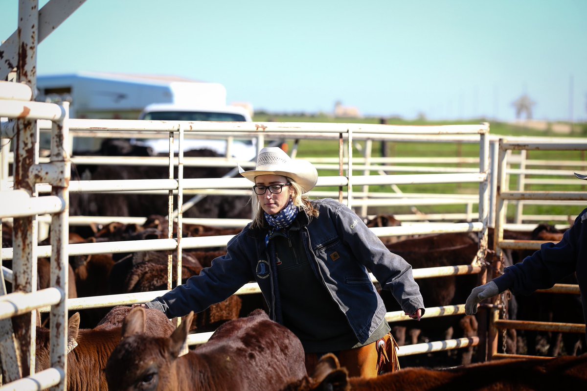 Don’t forget to register for <a href="/BeefUSA/">National Cattlemen's Beef Association</a> #CattleCon and use code “Courtenay” for $50 off full registration. convention.ncba.org