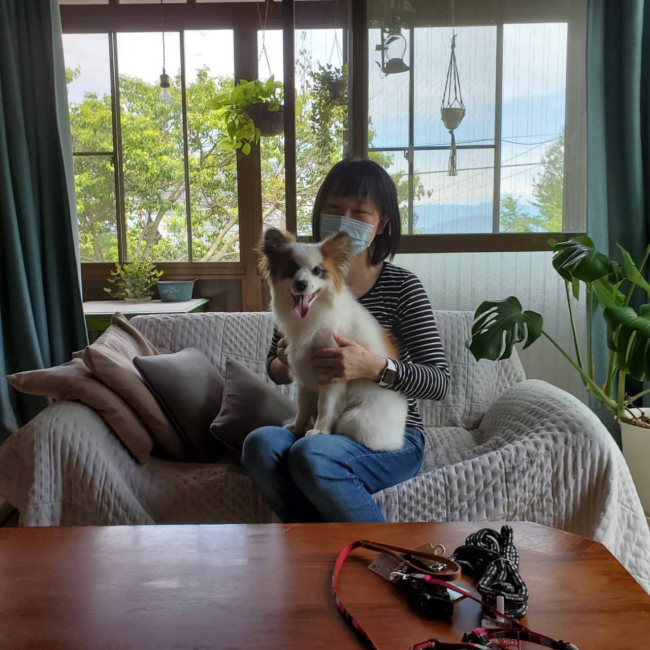 ゆめまるhappy隊 ちょこがももになって優しい家族の元へ 性格等考慮して五年程かけて用意し待っていてくれたご家族へ 最後の素敵な家族ができたんだよね 理想の環境 よかったね 皆さんで幸せになりますように これからは甘えて幸せに 波田のカームさん