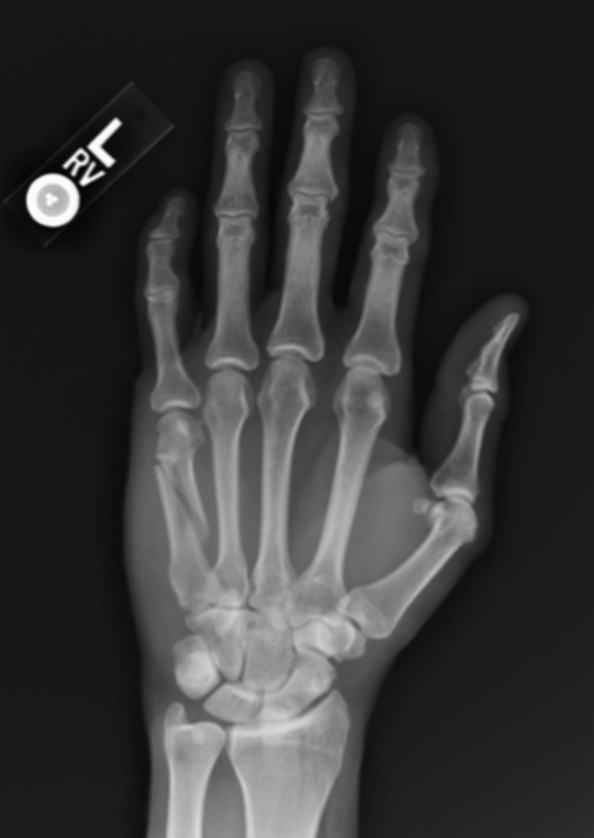 brian drowns tweet media