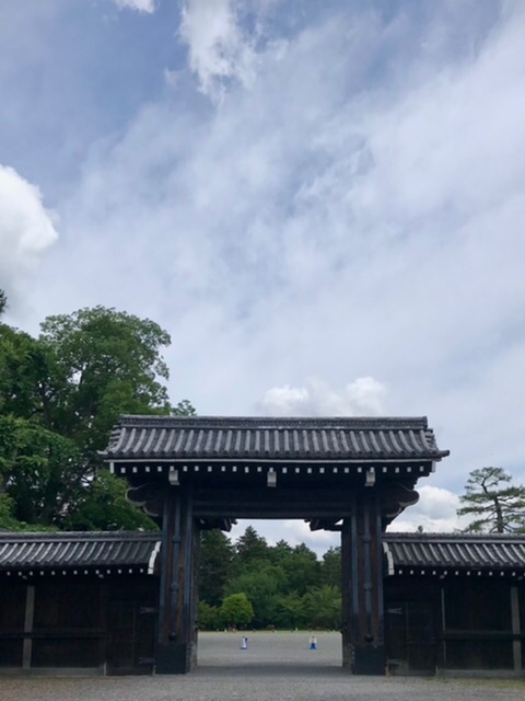 addplants's tweet photo. #おはよう ございます。松です。皐月二日金曜日。雲が出てきました。天気下り坂だそうで。気温下がるのはありがたい。今朝の脳内再生も #うちで踊ろう #星野源 #企業公式子育て部 #イマソラ #企業公式が毎朝地元の天気を言い合う #堺町御門 #addplants #plusplants #ひともり https://t.co/x34jjfYU2m