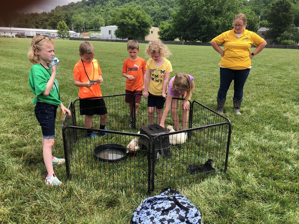 MeganRivet's tweet image. Day 4 brought Cicada hunts, petting zoo and emergency vehicles! #summerlearningfun