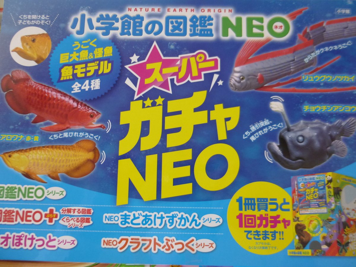 大垣書店 伏見店 何が出るか分からないけどどれが出てもうれしい小学館 スーパーガチャneo キャンペーンはじめました 図鑑neoシリーズどれでも買ったらリアルなうえにウゴウゴ動く部分もある巨大 魚 Amp 怪魚フィギュア入りカプセルガチャがもらえます 大垣書店 伏見店 何が出るか分からないけどどれが出てもうれしい小学館 スーパーガチャneo キャンペーンはじめました 図鑑neoシリーズどれでも買ったらリアルなうえにウゴウゴ動く部分もある巨大 魚 Amp 怪魚フィギュア入りカプセルガチャがもらえます