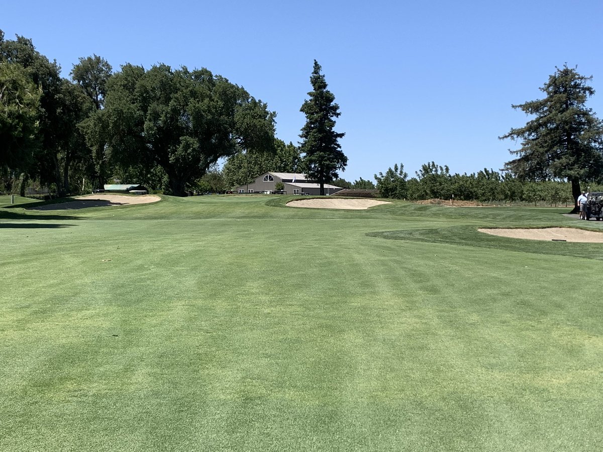 TGCCAgronomy's tweet photo. Wrapping up evening maintenance on day 1 of our Men’s member/guest invitational. Fairways and greens are firm and playing fast. Hope everyone had a day to remember! Now on to day 2. https://t.co/bLyWSGm5DO