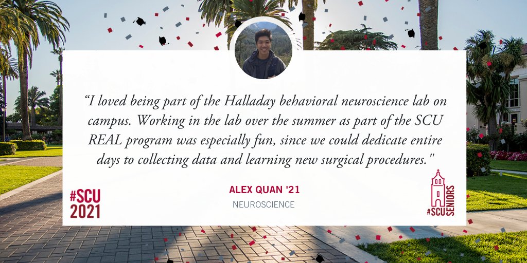 SCU Arts & Sciences tweet media