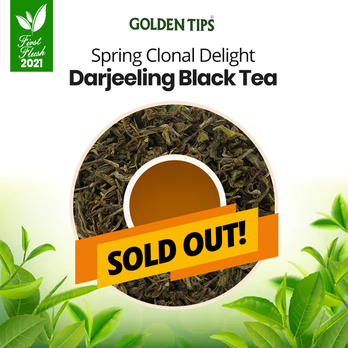 GoldenTipsTea's tweet photo. The most sorted Darjeeling teas are produced in limited quantity, get your favourite pick before it's get SOLD.
https://t.co/U2bAHQzept.
.
.
#FirstFlush2021 #SpringTeas #GoldenTipsTea #DarjeelingTea https://t.co/QoxjnkpQAE