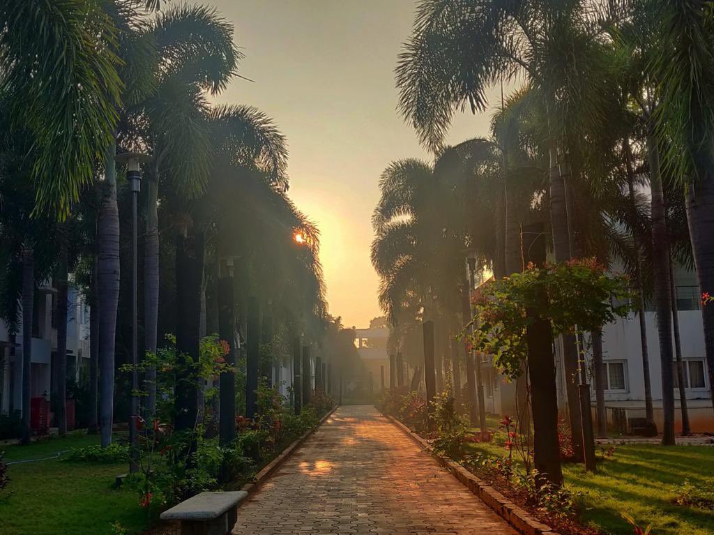 A happy place along with the rising sun on the Great Lakes campus. 

📸 Smrithi Mohankumar (PGDM Co’22) 

Wishing you a happy Friday! 💚

#greatlakes #leedplatinum #sunrise #photography #onewithnature