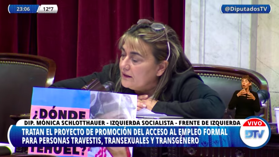 "El colectivo travesti trans desde caída la dictadura ha ganado las calles en la lucha contra los edictos y ha seguido levantando las banderas como las del matrimonio, la identidad y el acceso a la salud, educación y muchas que están pendientes", Mónica Schlotthauer.