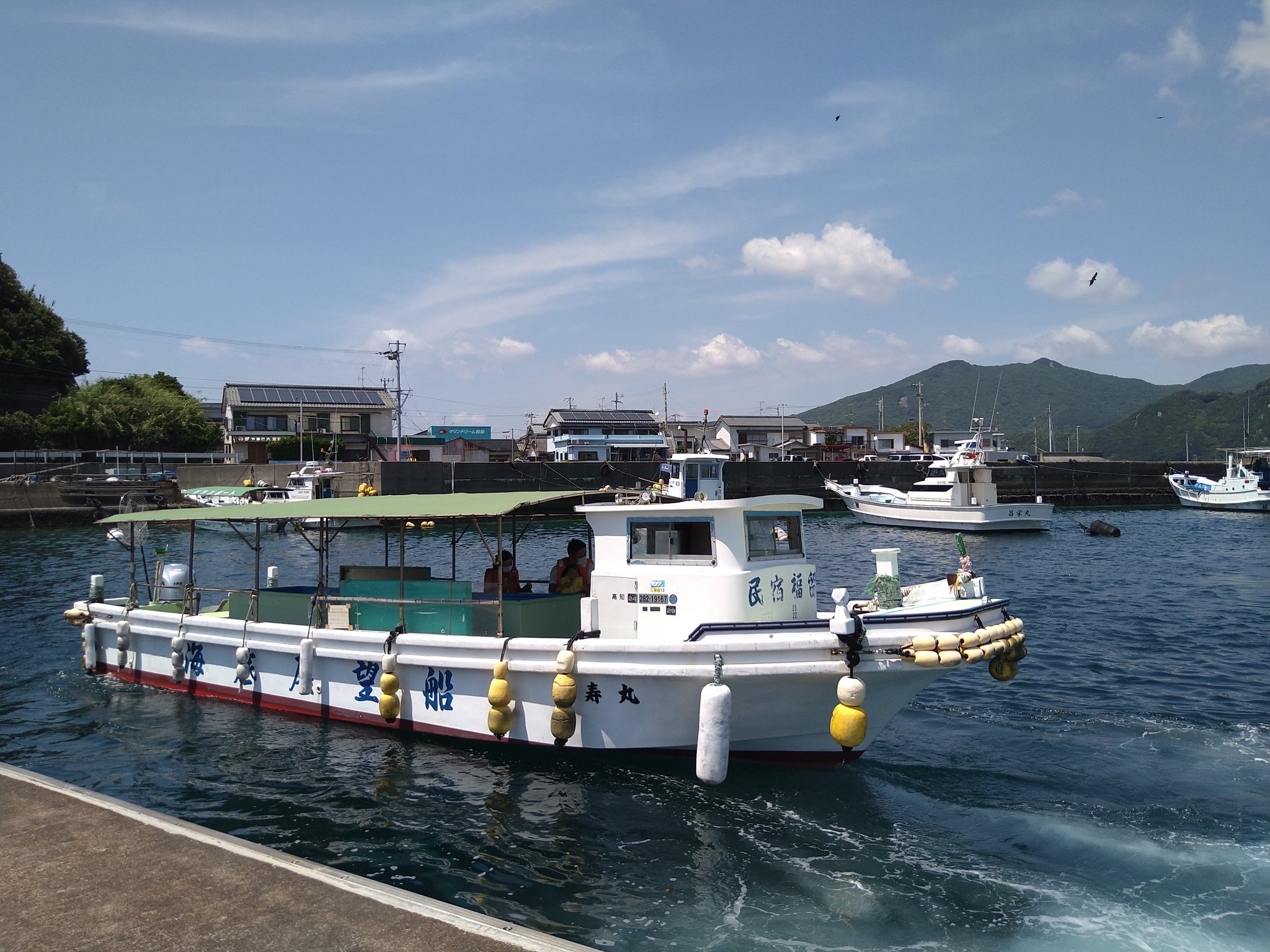 マリンドリーム柏島 海底展望船 グラスボート クルージング 海の秘境 柏島クルーズ 観光船 遊覧船 柏島 大月町 高知県 マリンドリーム柏島 ダイビング 民宿 レンタル シャワー サップ マグロ丼定食 要予約 T Co 6vadikqhj0 Twitter