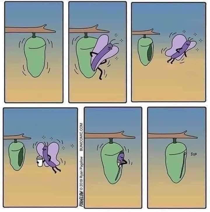 robbieolive1's tweet photo. Very relatable in Melbourne at the moment. #toocoldtogoout https://t.co/IVGj7DKfeI