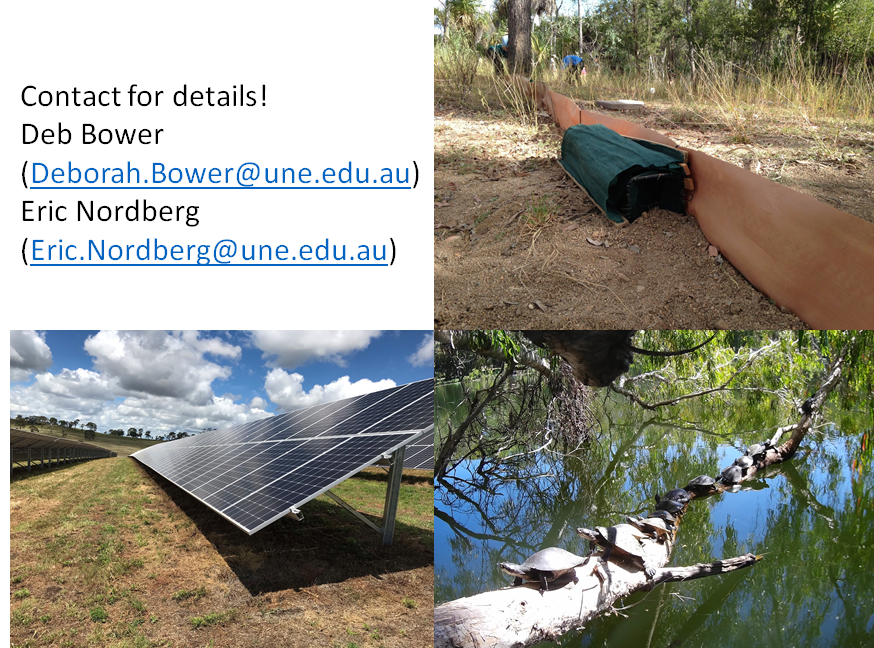 Research projects available in <a href="/LazerUne/">lazer_une</a> and my labs for honours-phd levels (Australian applicants due to boarder restrictions): environmental effects on hatching success in #turtles, #biodiversity associated with farm #dams or #solarfarms, basking ecology in freshwater turtles