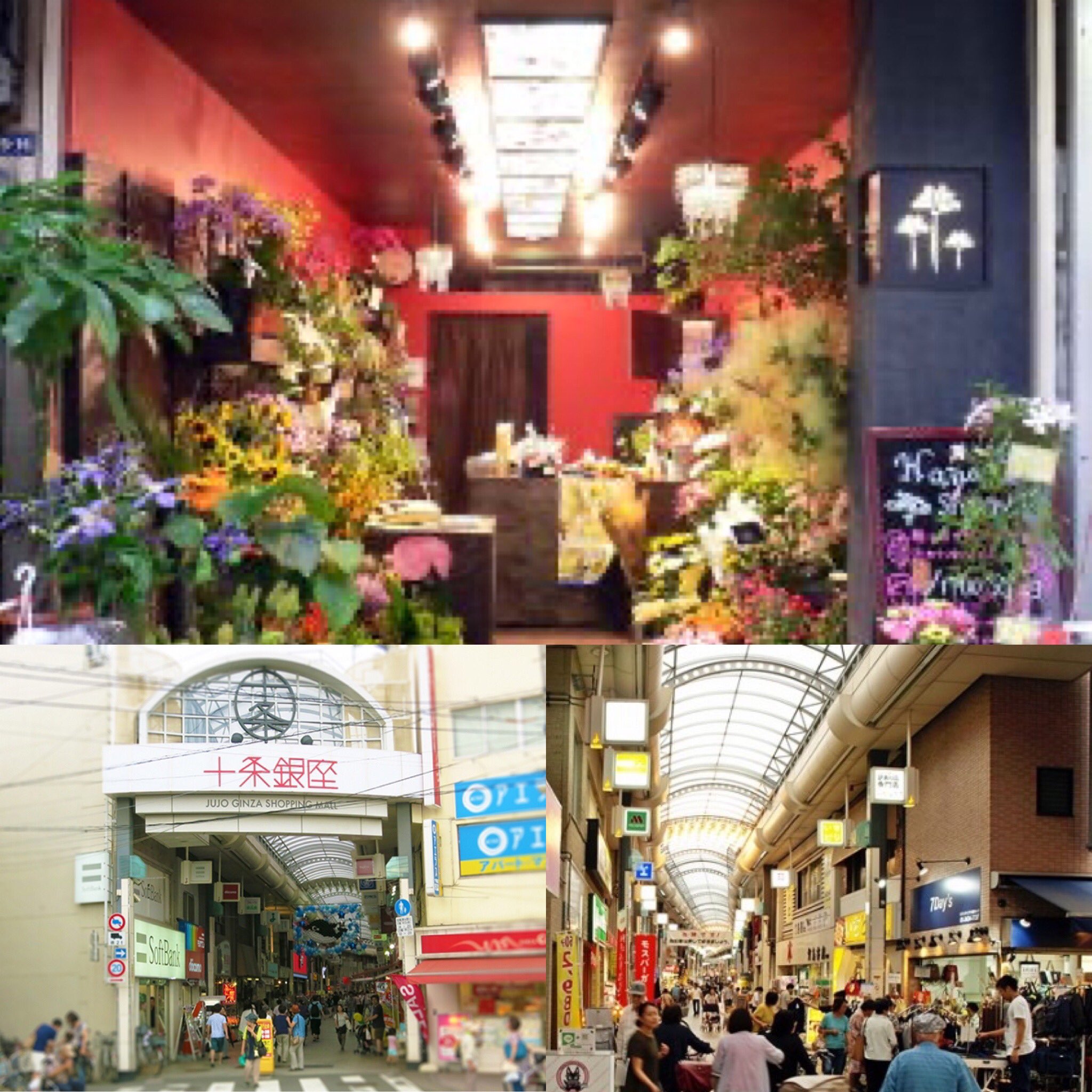 Dan Danのアコーディオン寅さんシリーズ 十条銀座篇 6 13 日 16 00 18 00 十条 十条銀座商店街 花正 はなしょう フラワーショップ軒先 投げ銭ライブ 今回は東京下町 十条銀座商店街のお花屋さんの軒先をお借りして演奏致します 何が起きるか