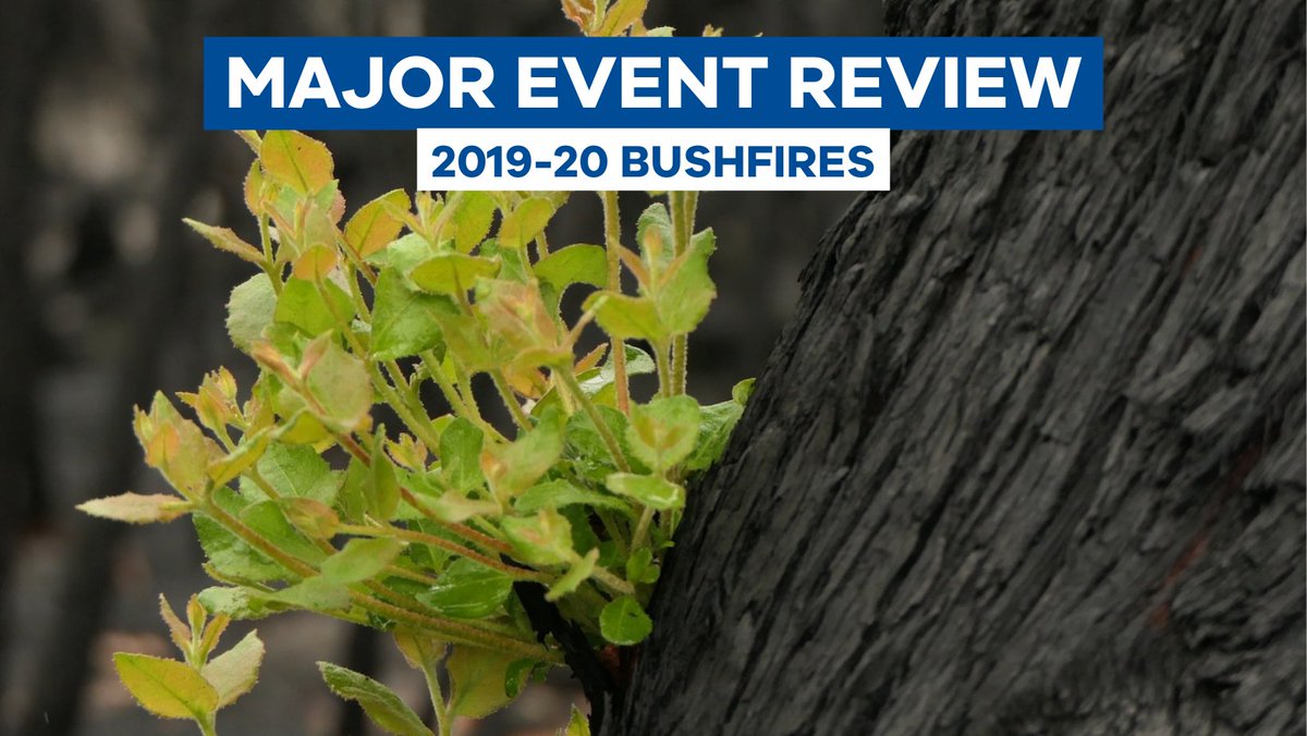Have your say on the government’s report which summarises the 2019-20 fires' impacts on Victoria's Regional Forest Agreement regions to help inform the independent Panel's findings of the Major Event Review. Read the report and share your views with us at engage.vic.gov.au/major-event-re…