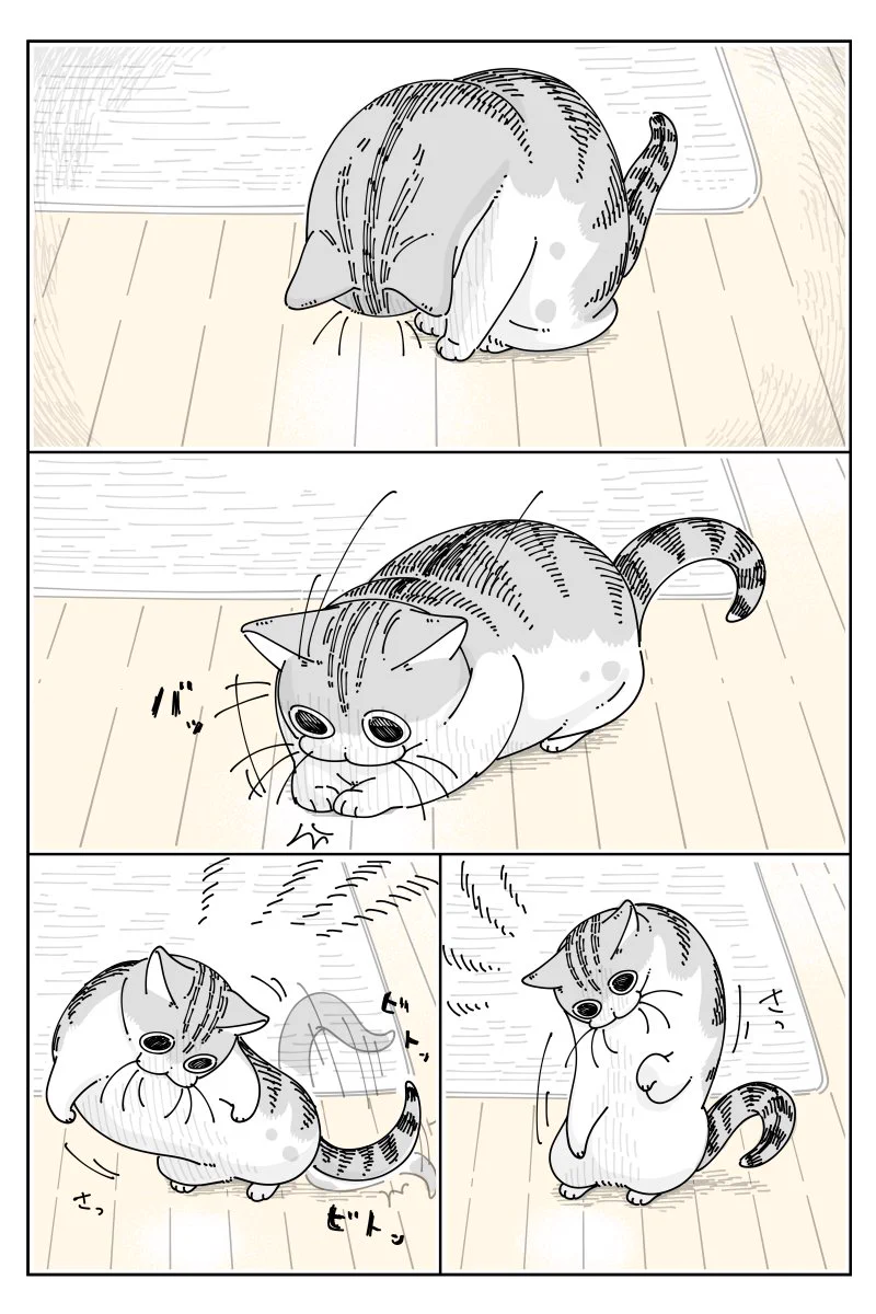 シミがあった場所を眺める、哀愁漂う姿も可愛い！とっても癒される猫漫画が話題に！