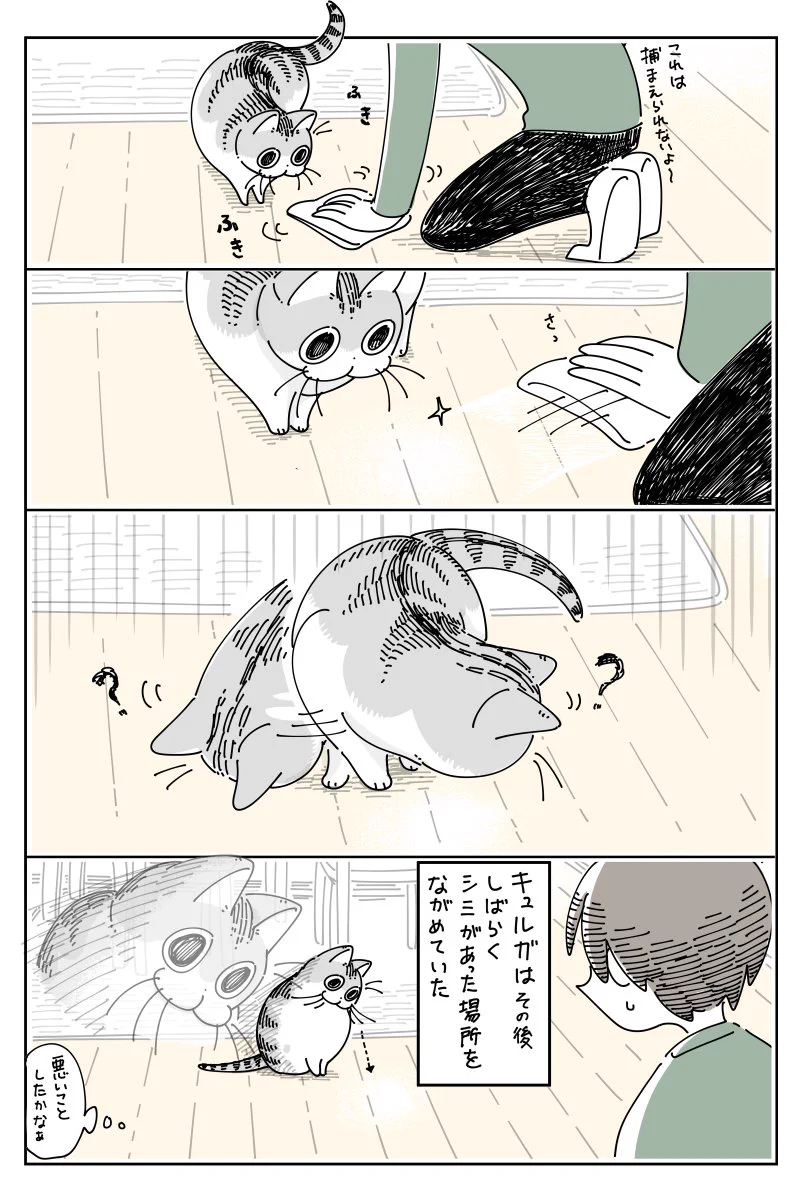 シミがあった場所を眺める、哀愁漂う姿も可愛い！とっても癒される猫漫画が話題に！