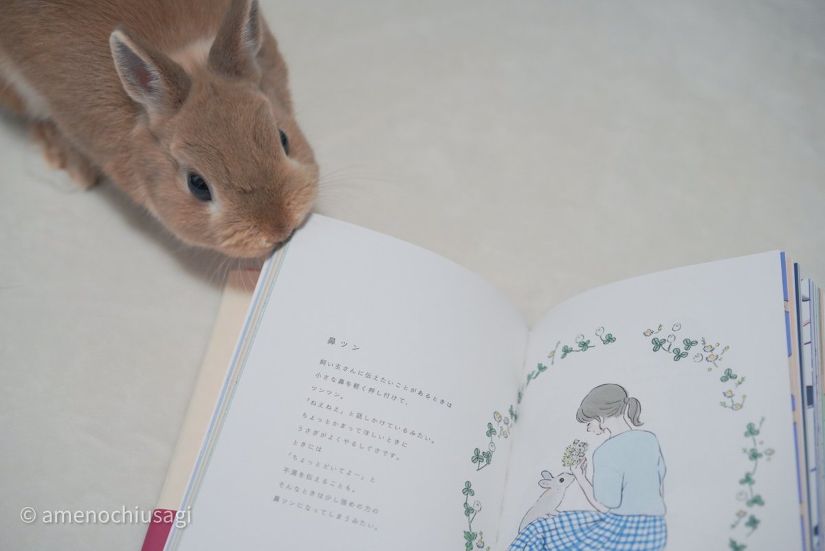 うさぎのあめ V Twitter うさことば辞典届いたー うさぎにまつわる言葉と合わせて森山標子さん Schinako のイラストが載ってるよ 知らなかった言葉がたくさん載ってて辞典としても楽しめるし 森山標子さんの画集としても楽しめるとても貴重な一冊 うさぎのあめ V Twitter うさことば辞典届いたー うさぎにまつわる言葉と合わせて森山標子さん Schinako のイラストが載ってるよ 知らなかった言葉がたくさん載ってて辞典としても楽しめるし 森山標子さんの画集としても楽しめるとても貴重な一冊