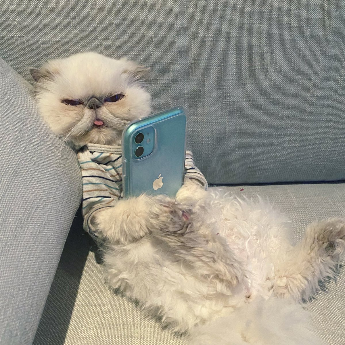 RelatableShelby's tweet photo. I don’t know who needs to hear this, but do yourself a favor &amp; take mixed signals as a “no.” 😹 #HotGirlSummer ☀️ https://t.co/oLbWM4lrSl