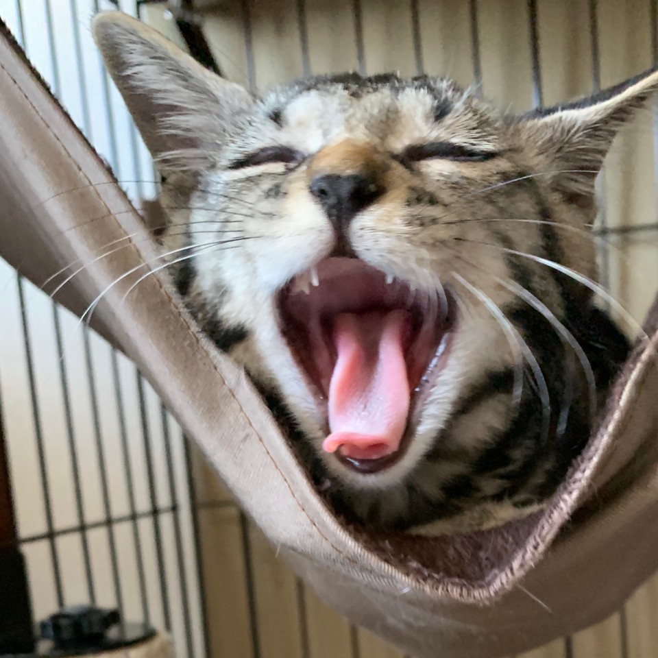 😹😹😹😹😹😹😹