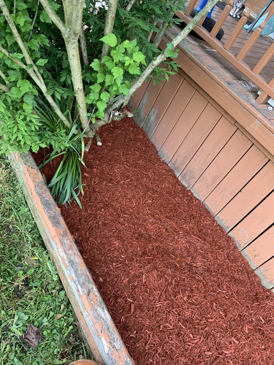 King of Spades Landscaping (KingofSpadesLa1) Twitter