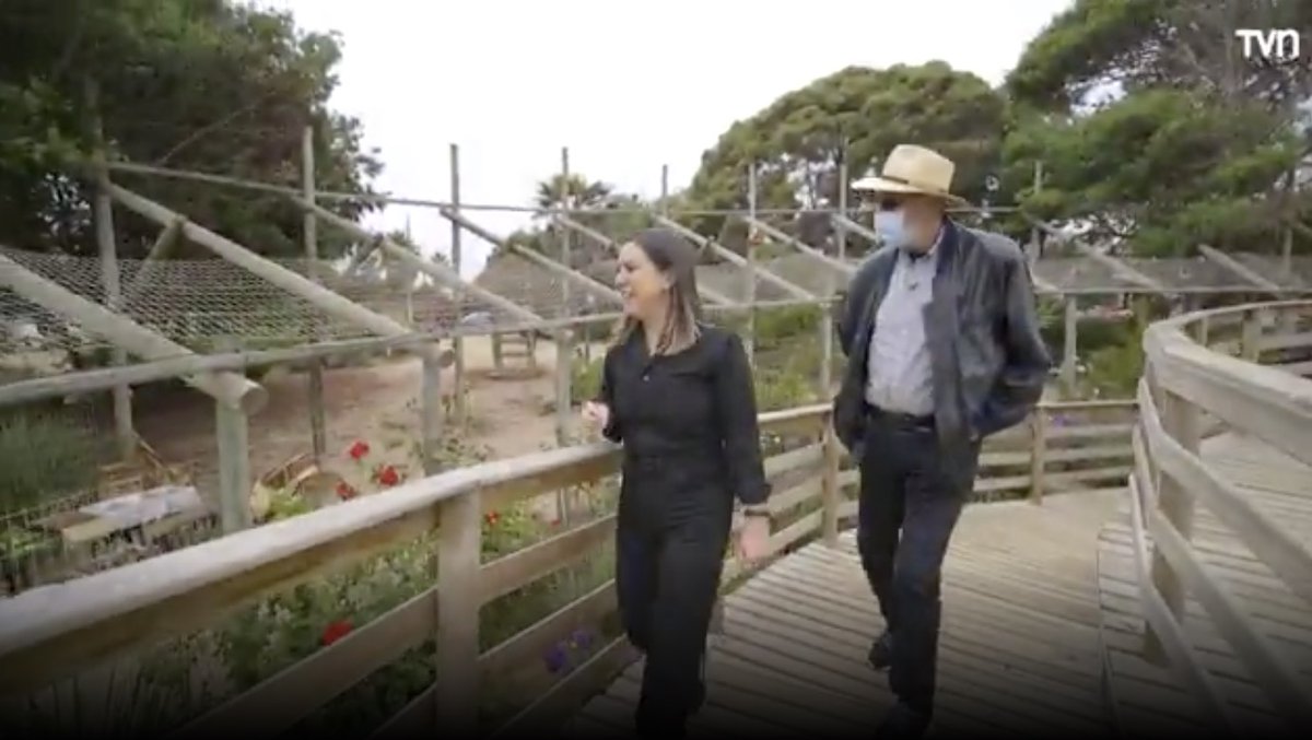 TVN's tweet photo. @japijane Japi Jane no solo es activista del placer, sino que también del medioambiente. En #Mirasol participa del movimiento “No al Rabanal”, que se opone a la construcción de un proyecto inmobiliario frente a su querida playa. #SinParcheTVN. #SantiagoPavlovic. @japijane #japijane https://t.co/c5A88Zuikj