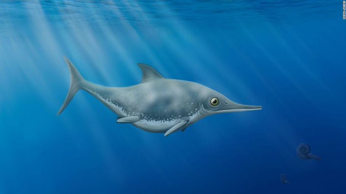 巨大生物のtwitterイラスト検索結果