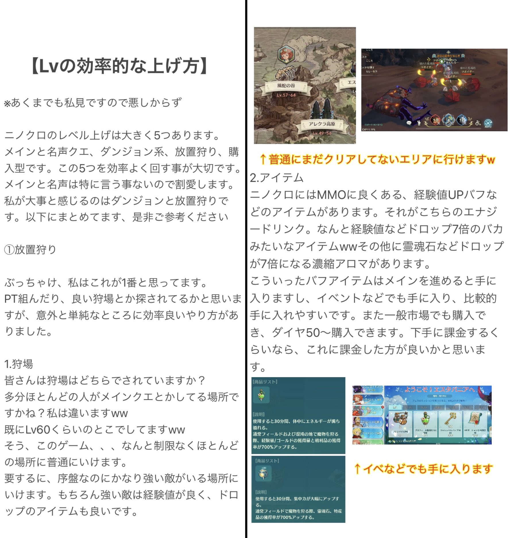 Kentaro Vtuber企画進行中 ニノクロ 二ノ国 ウマ娘 モンハンライズ ドラブラ 必見 戦闘力 Lv全鯖1位が語るlvの上げ方 めちゃlv上げについて聞かれるんで こちらに私のやり方まとめます 現在戦闘力45万 Lv44です 間も無く45に あくまで私見