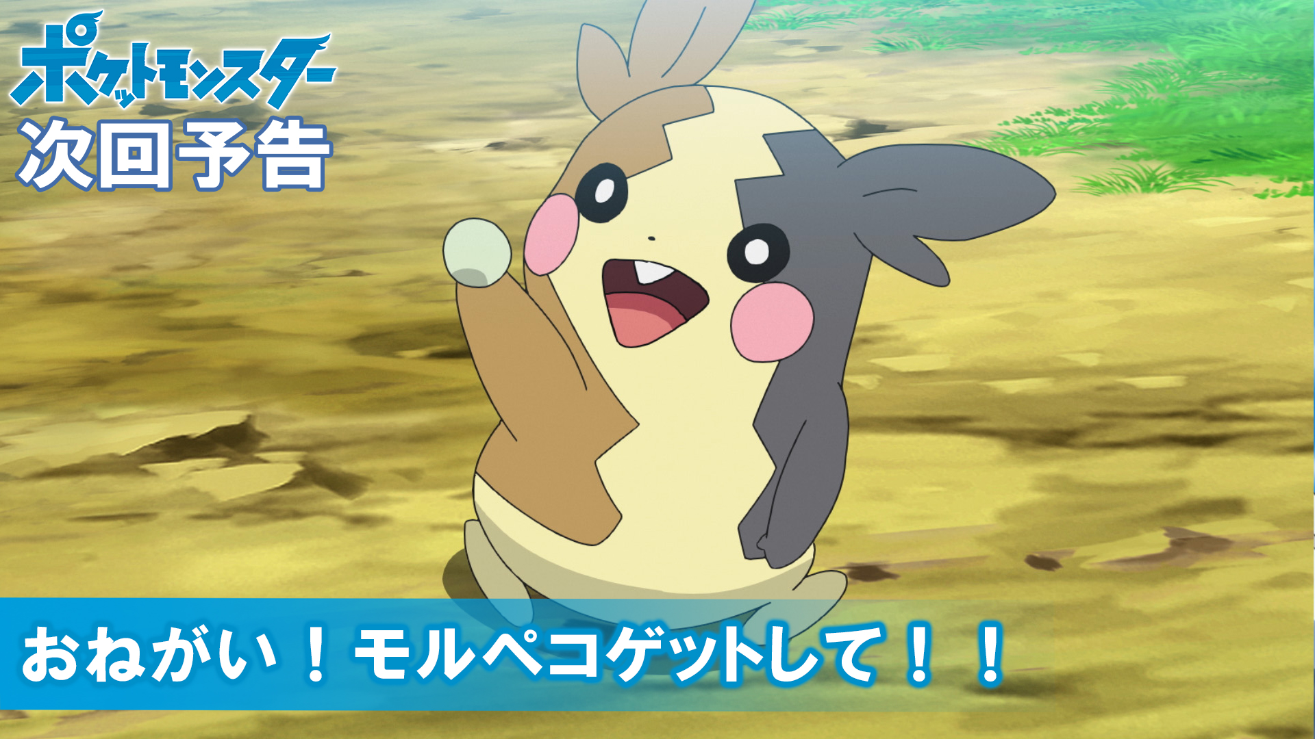 Twitter 上的 ポケモン公式ツイッター 今日のアニポケ ロケット団のアジトに住み着いているモルペコ 相変わらず食いしん坊で 隠していた食料まで食い尽くしてしまう始末 このままでは使命を果たせない と考え始めたロケット団は モルペコを野生にかえす