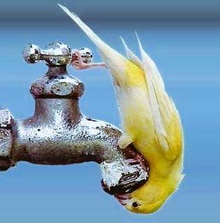 uzair143924's tweet photo. #heatstroke
Waving for last drop https://t.co/GT7GhU5k9X