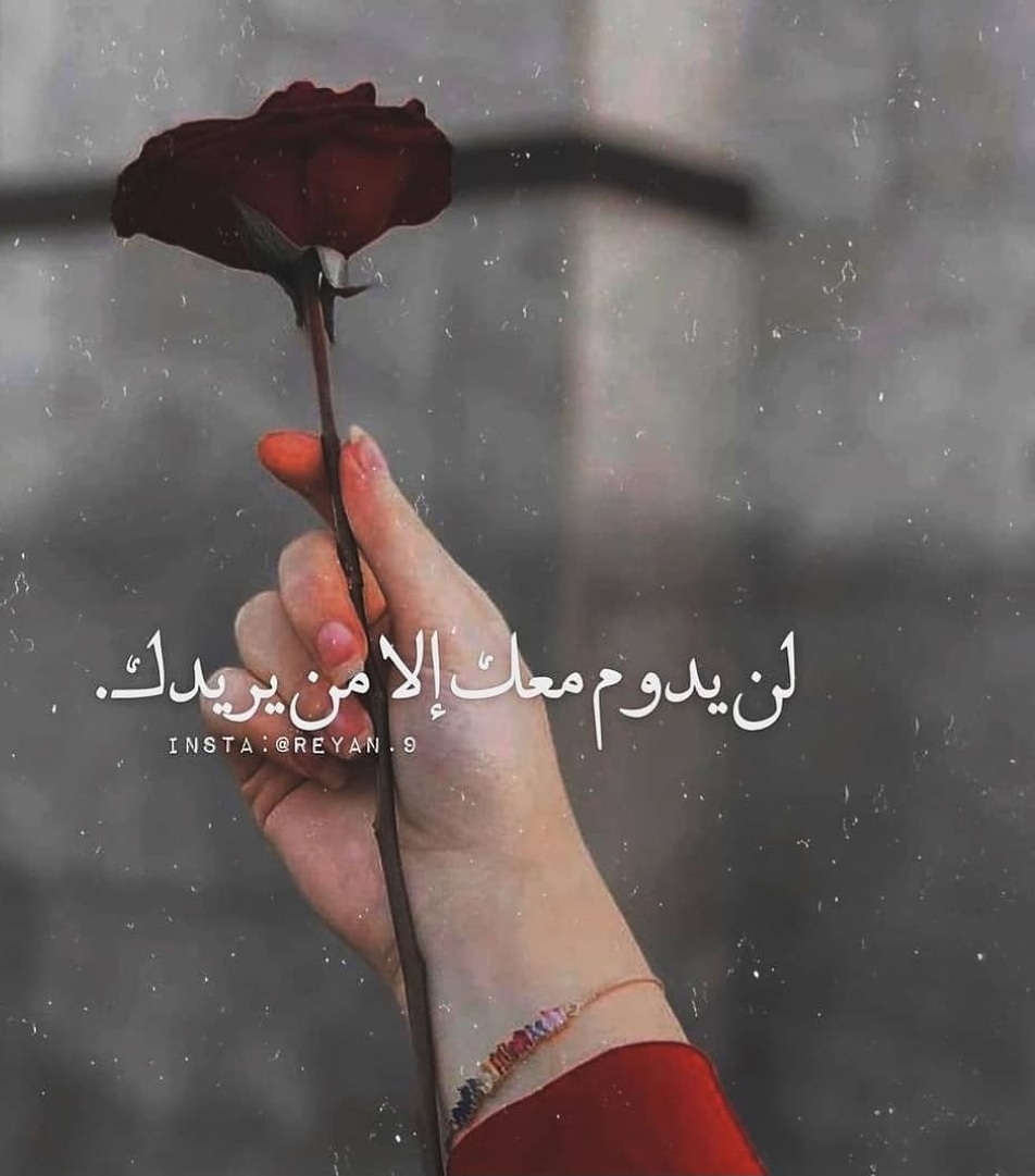 الغلا tweet media