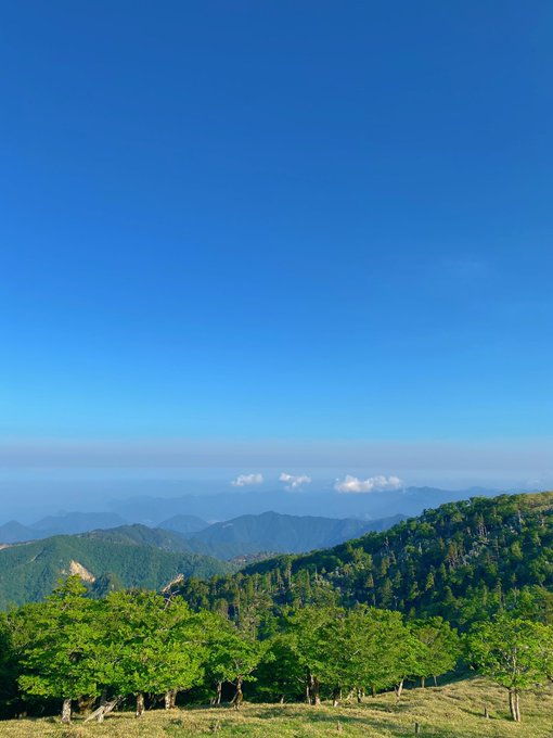 大阪カラオケパブ殺害事件 稲田真優子さん 25 殺害した犯人 宮本浩志容疑者 56 のツイート特定か マスコミもリークしてる まとめダネ