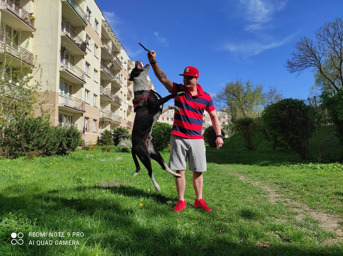 And This is MAJLO 💪🍀 MyDoG or MayLove ❤️🍀