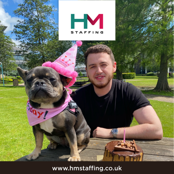 We celebrated a big birthday at HM Staffing yesterday with our Chief Of Terror Tilly's 1st Birthday. An integral member of the team who is still the most requested member for client meetings. Happy Birthday, Tilly!

#recruitment #birthday #jobsearch