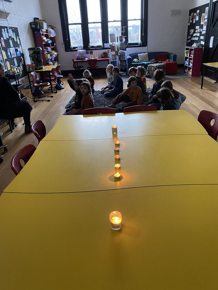 Taradale Primary Sch tweet media