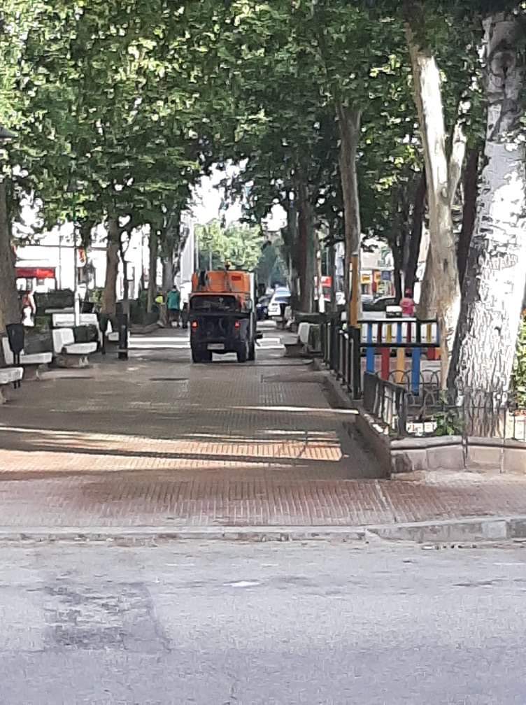 Muévete X Alcalá tweet media