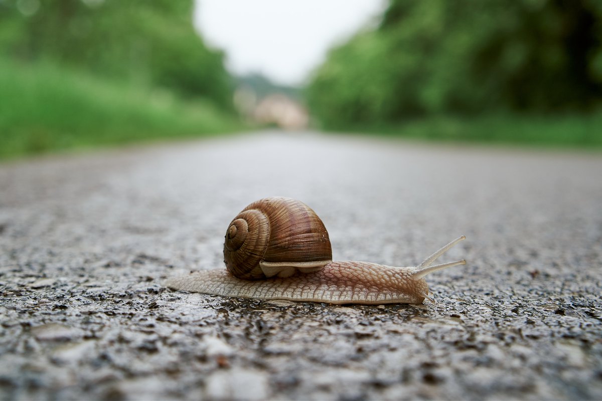 Jan Minárik tweet media
