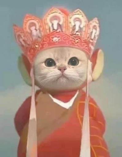 背心叔on Twitter Peanutkm Love Sci4ever 猫咪才是救世主https T Co Xwgq4bwtzk Twitter