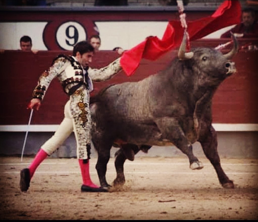 Vamonos!