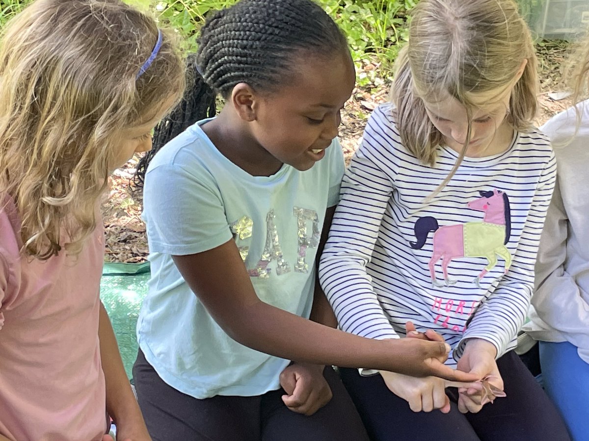 StSwithunsOL's tweet photo. Year 3 loved learning about the butterflies and moths, wild flowers and other invertebrates at Magdalen Hill Down with the amazing team from Butterfly Conservation during their Wilderness Afternoon this week @StSwithunsYear3 @savebutterflies #nature #learning #ItsWhoWeAre https://t.co/v6iMF3xV5x