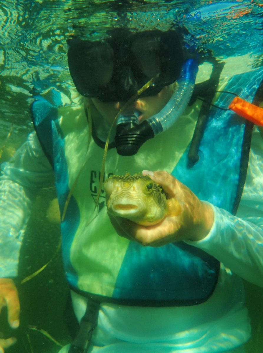 MSSCaptOlsen's tweet photo. A small sampling of what campers experience during Coastal Camp Citrus at the Marine Science Station! Checkout  our Facebook page for more photos &amp; videos! @CitrusSchools https://t.co/lumtKQ3UU2