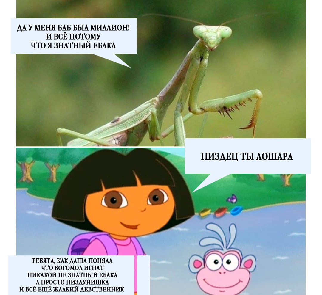 E3l5wq1XEAARXtF?format=jpg&name=medium