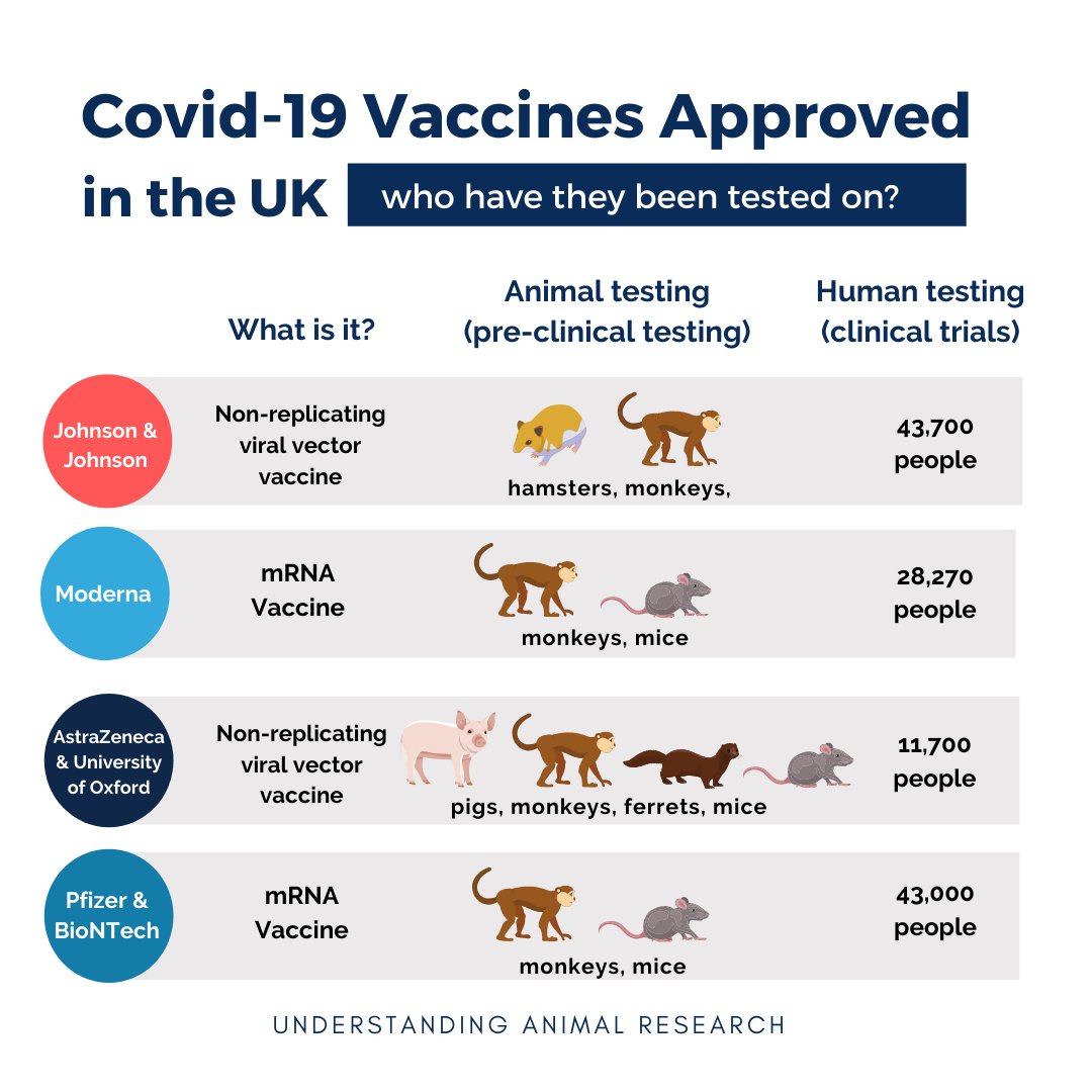 Understanding Animal Research on Twitter: Understanding Animal Research on Twitter: