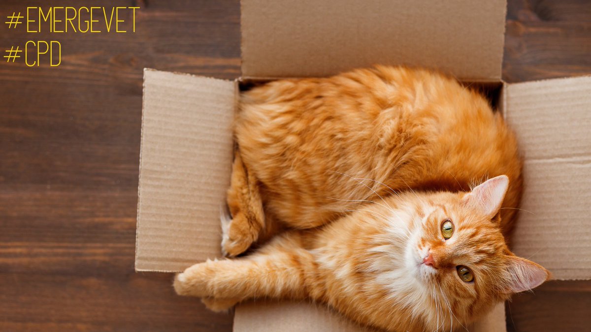 Dr Adrian Nelson-Pratt tweet media