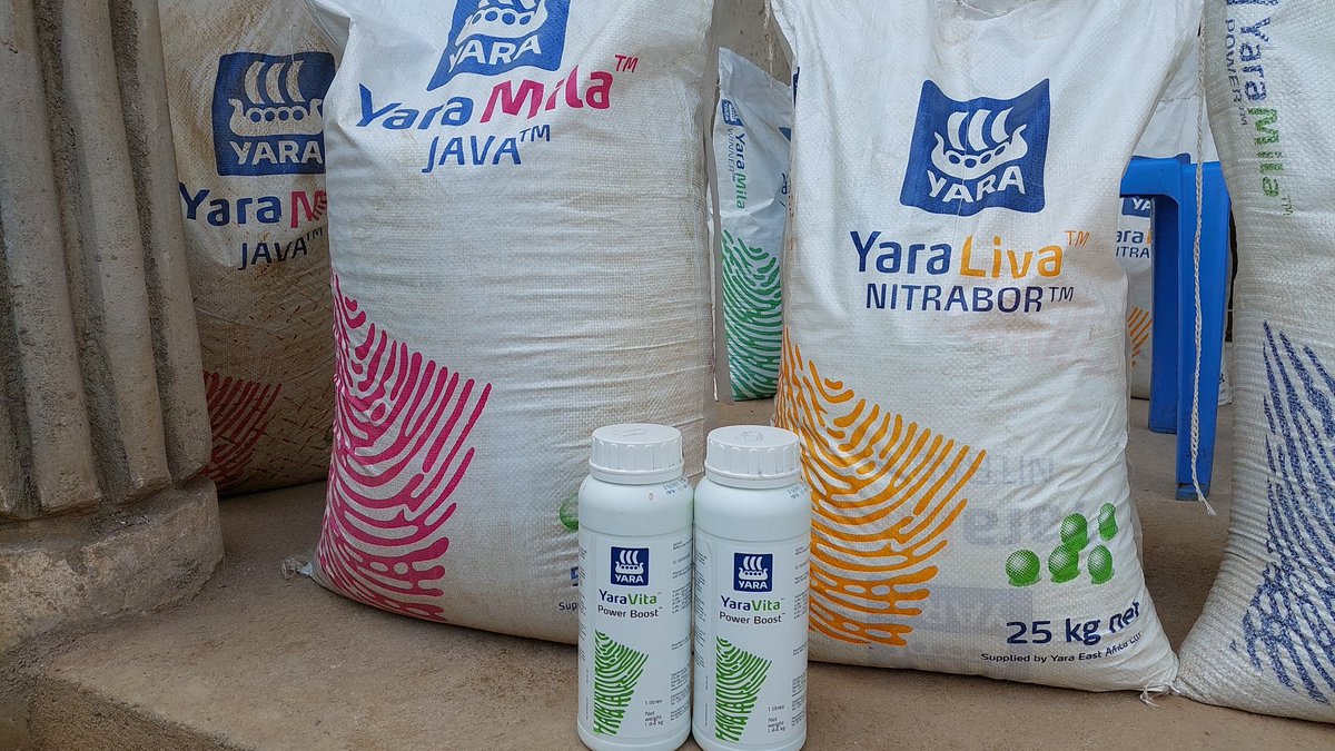 On-going Mt. Elgon Region in Bungoma County Coffee Stakeholders workshop on the best Nutrition Program for our Coffee Crop to Achieve the best Grade as well as reap Great Returns translating to the best Coffee Taste!
#mboleaniyara
#Yarakenya