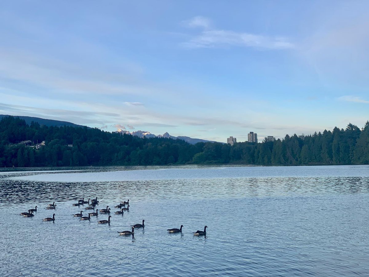 exploremamabear's tweet photo. Tonight’s view
.
.
.
#portmoody #thegreattrail #exploremamabear #shotoniphone #iphonography #nature #landscapephotography #landscapes #earthoutdoors #naturelovers #naturepics #naturelife #vancouver #bc #canada #imagesofcanada #ourplanetdaily #hellobc https://t.co/georMdbre9