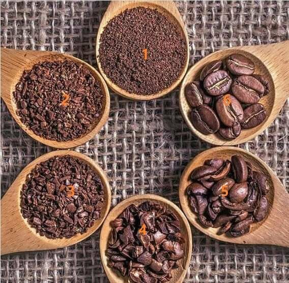 BaristaSiya's tweet photo. I can speak in different beans - your Barista ...

#CoffeeCrafting #CleanBrewing #CoffeeCrafting #Chemex #earopress #BaristaLife #DailyRoutine #BaristaSiya #supportlocal #LocalIsLekker #ScprpioRoastery https://t.co/rR8BabAMYt