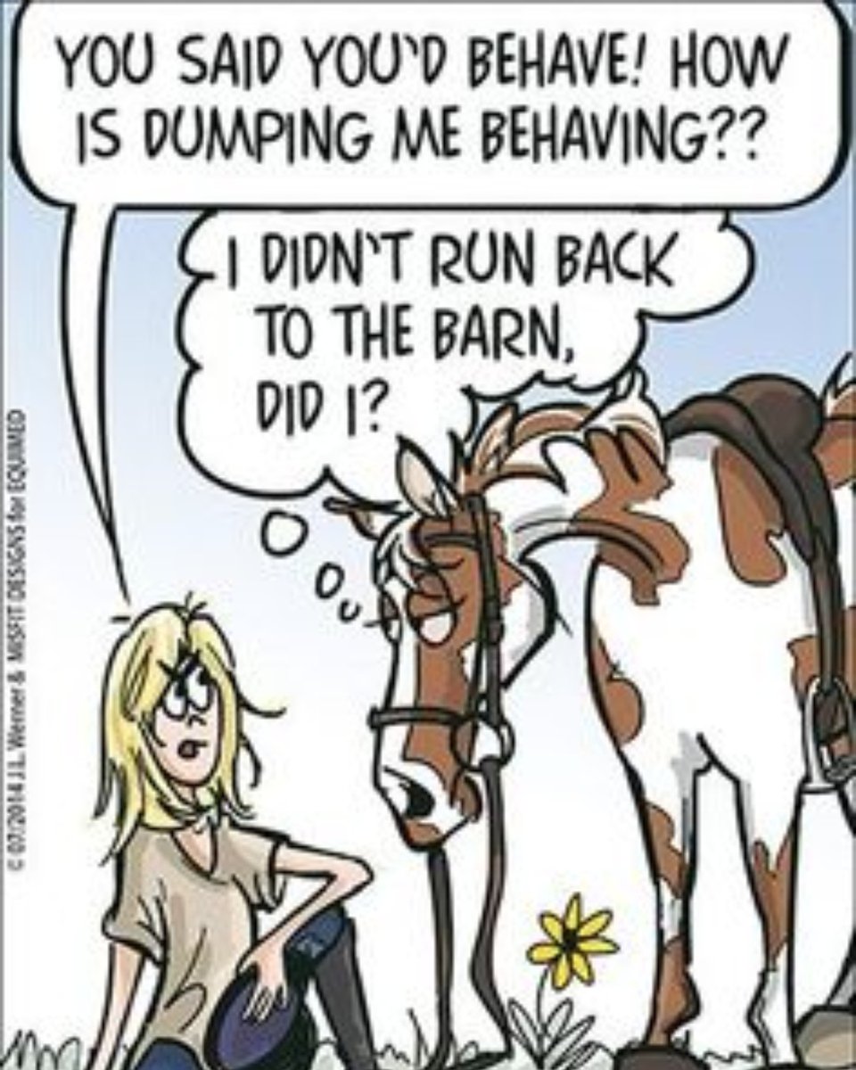 When you just don't know what to say, well other than Funny Friday is back! 

#funnyfriday #friday #funny #equestrian #horses #ponies #horsesofinstagram #horseshowing #horseshowlife